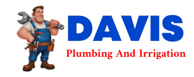 Trusted plumber in PISEK